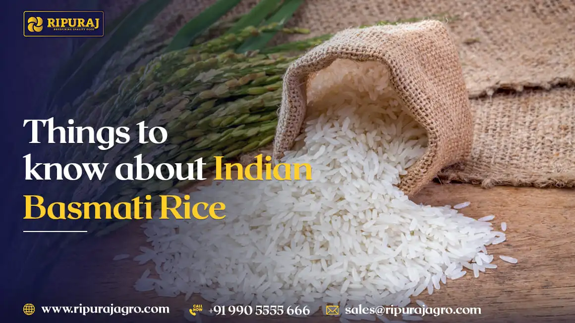 Things to know about Indian Basmati Rice.webp