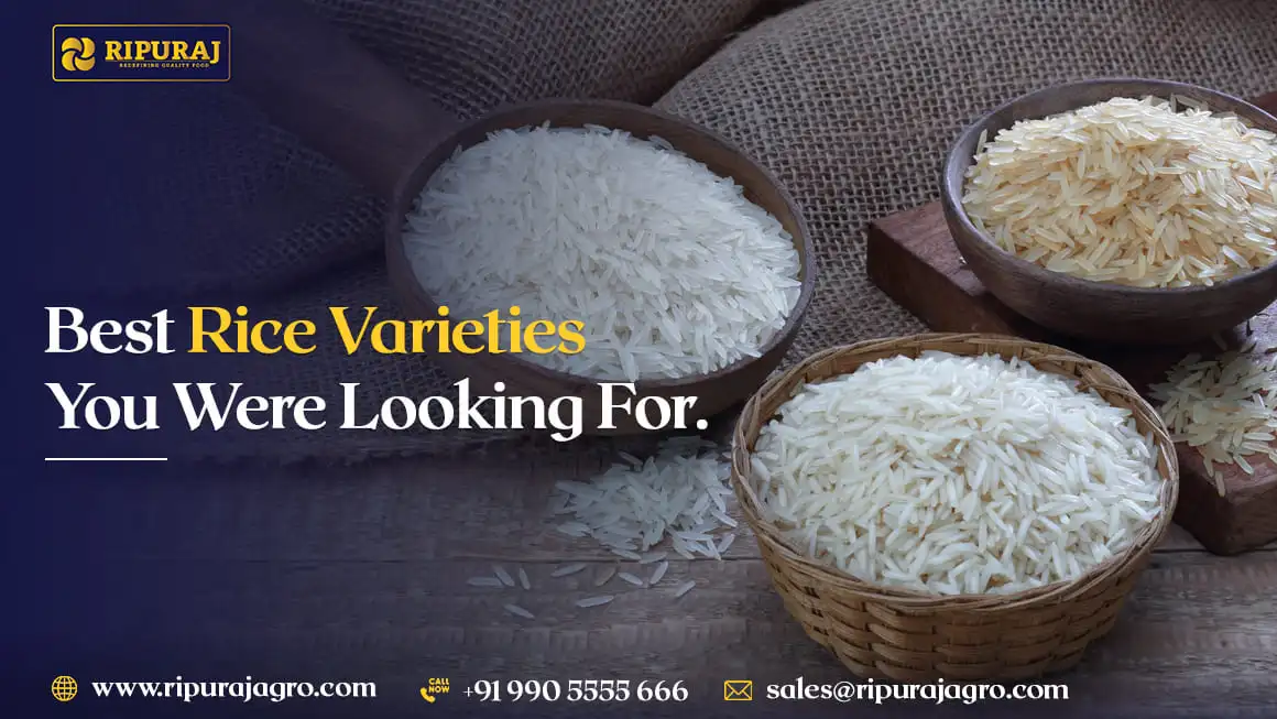 Best Rice Varieties You Were Looking For.webp